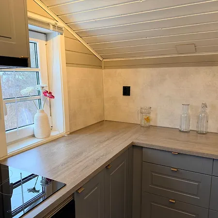 Appartement Cozy In South Of Norway! Svenevik